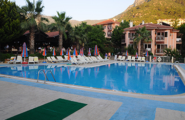 Our pool